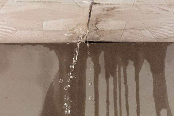Professional Water Damage Repair technician working in Van Vleck, TX